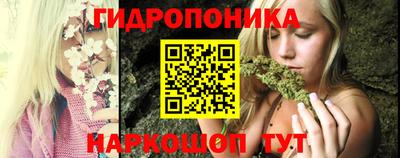прущие грибы Мариинск
