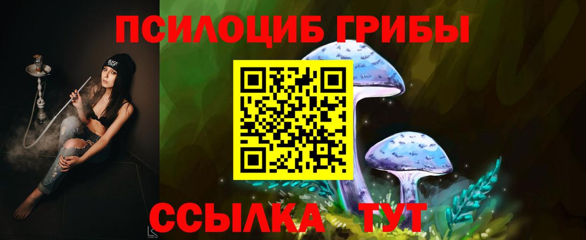 Тула  даркнет сайт  Вход с VPN  Псилоцибиновые грибы Cubensis 